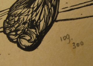Leonard Baskin 1922 2000 Tobias and The Angel Wood Engraving Print 