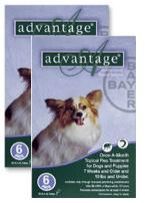 Bayer Advantage Green For Dogs Under 10 lb