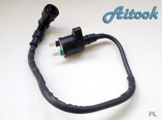 New Ignition For Coil Honda TRX250TM Fourtrax Recon 2008 2009 2010 