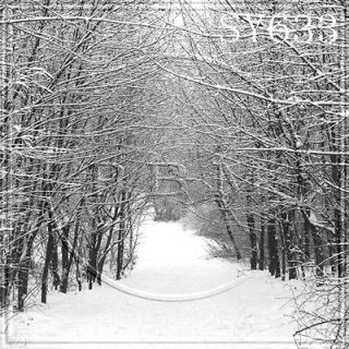 CHRISTMAS WINTER OUTDOOR SNOW 10x20 FT CP PHOTO SCENIC BACKGROUND 