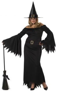 Sexy Plus Size Elegant Witch Adult Costume New
