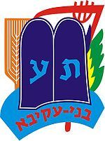 Bnei Akiva Religious Zionist Youth Movement Israel Worldwide Patch No 