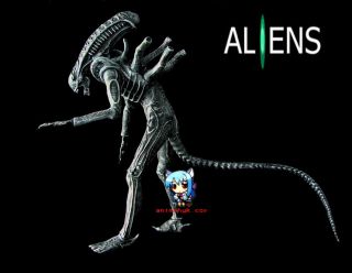 Movie Classic Alien 1 1 8 Vinyl Model Kit
