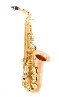 Vento 900 Series Broad Bell Alto Sax Yellow Brass Body