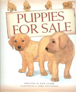 Puppies for Sale  humble little boy delivers a message of human 