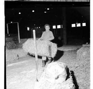 1963 2x2 Negative Dana Trimble fixing up her Black Angus stall