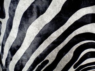 Zebra Print Printed Cowhide Skin Rug Cow Hide DC3676