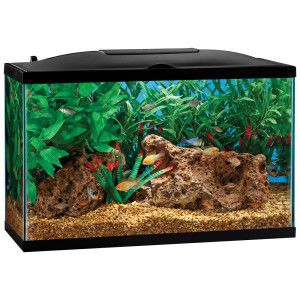 Aquarium Fish Tank   20 Gallon LED Day/Night Top   Final Offer