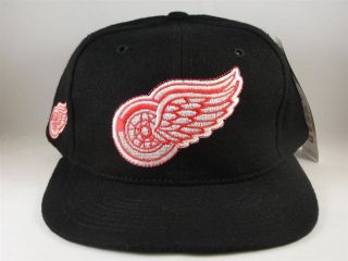  Red Wings Vintage Blockhead Snapback Hat Cap American Needle Rare
