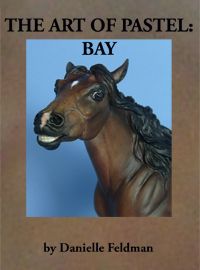 The Art of Pastel Bay Instructional DVD by Feldman Studio LSQ Quality 