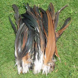 New 50Pcs OVER BADGER SADDLE ROOSTER FEATHERS Natural colors 10 12 