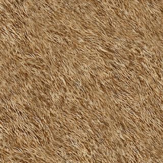 Wilmington, Bear Mountain Brown Bear Fur Texture 1/2 Yard Fabric Free 