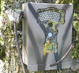 Security Bear Box for Primos Truth Cam 60 Trail Camera