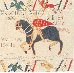 French Tapestry Cushion Cover Bayeux 937
