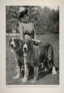 1902 Print St. Saint Bernard Dogs Our Bobs Marvel Croft ORIGINAL 