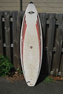BIC Sport 76 Plastic Surfboard Local Pick Up Only NJ
