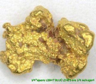 317 gram Bering Sea Nome Alaska Gold Nuggets