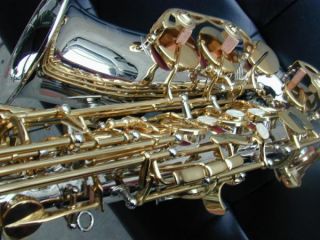 Berkeley Deluxe Engraving Silver Gold Alto EB Saxophone