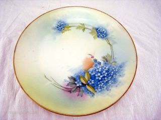 Vintage Blue flower plate, Prussia Royal Ruddelstaent Hand Painted Art 