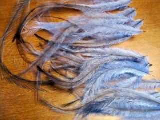 Feathers Hair Extension Emu Royal Blue Cruelty Free 12
