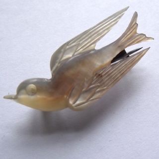  of pearl swallow love bird brooch a lovely romantic lovebird brooch 