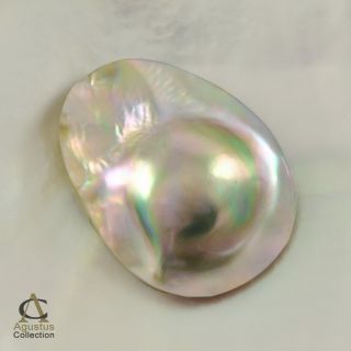 California Rainbow ABALONE Cultured MABE BLISTER PEARL 1.88g