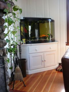   Aqueon Bow Front Corner Fish Tank Aquarium w Sump + Stand Fish Parrots