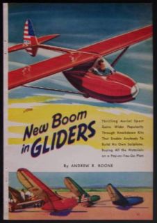 1940 Glider Sailplane Bowlus Ba 100 Baby Albatross Vintage Color 