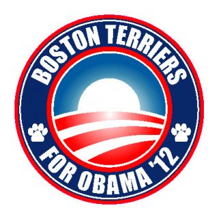 BOSTON TERRIERS FOR OBAMA 12 Dog Political Democrat 5 Terrier Sticker