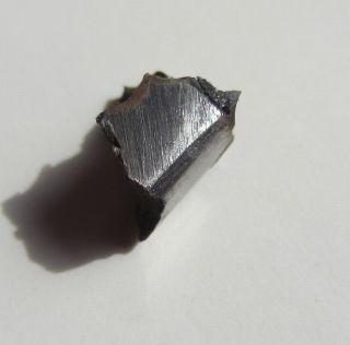 Meteorite BRENHAM PALLASITE 44 grams Kansas BR201
