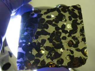 Brenham Pallasite Meteorite 76g Part Slice Diamond Saw Cut Hand Polish 