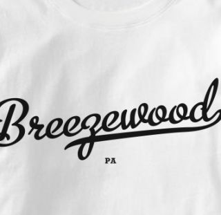 Breezewood Pennsylvania PA Metro White Homet T Shirt XL
