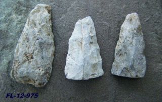Brevard County Central Florida 3 Authentic Aritfacts Arrowheads Points 