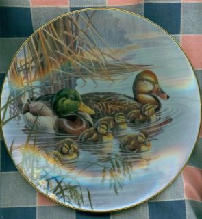 George Plate Bruce Langton Family Outing Duck Famil