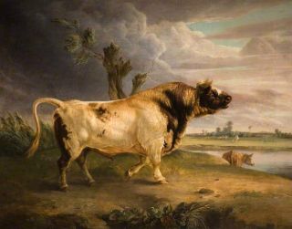 Handmade Oil Painting Repro Edmund Bristow A Bull