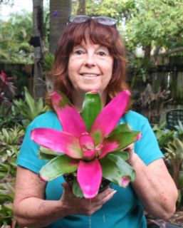 This is Neoregelia Romance. Great Plant The color is a bright, clear 