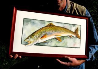 Leaping Brook Trout Framed Print by Tom Sasser