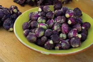   Purple Brussel Sprouts 25 Seeds Organic Non GMO Brussels