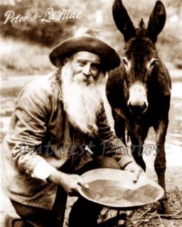 Gold Prospector Miner Peter Voiss Donkey Burro Photo 3