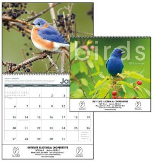 2013 Bird Wall Calendar