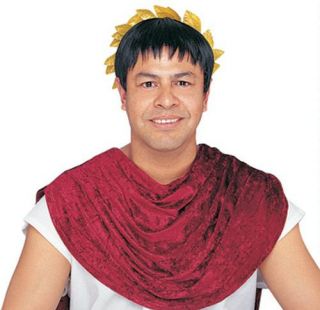 Julius Caesar Roman Trojan Greek Toga Black Costume Wig