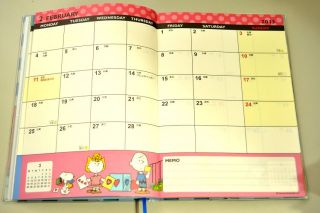 Lovely, Blue Checkered and Snoopy jump Get organized in 2013 cutely 