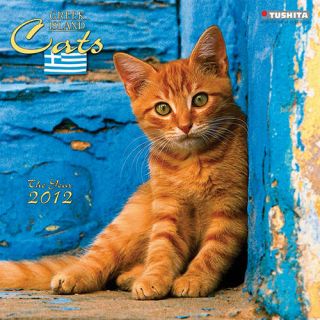 Greek Island Cats 2012 Wall Calendar