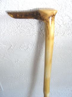 Hand Carved Crafted Colorado Aspen Cane Walking Stick