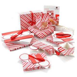 Martha Stewart Holidays Candy Cane Food Packaging Kit 247 Pcs Brand 