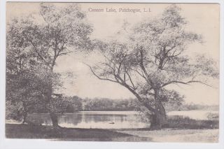 Patchogue Long Island NY Canaan Lake 1908 Postcard