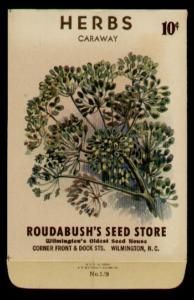 Vintage Roudabushs Herbs Caraway Seed Packet 10 Cents