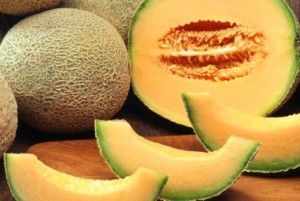 Melon Cantaloupe Naranja Muy Dulce 100 Semillas Seeds