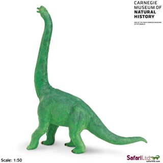 Brachiosaurus Safari Carnegie Museum 