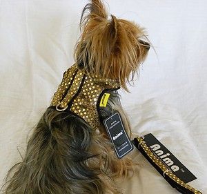 New Dog Cat Clothing Apparel Vest Harness Leash Gold Sparkly Bling XXS 